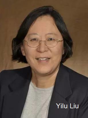 Yilu Liu